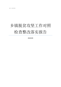 乡镇脱贫攻坚工作对照检查整改落实报告