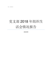 党支部2018年组织生活会情况报告