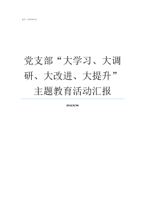 党支部大学习大调研大改进大提升主题教育活动汇报