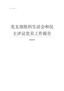 党支部组织生活会和民主评议党员工作报告党支部