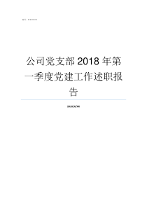 公司党支部2018年第一季度党建工作述职报告