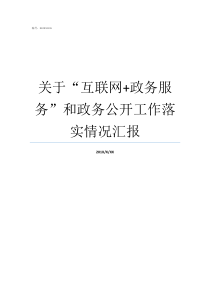 关于互联网政务服务和政务公开工作落实情况汇报互联网政务