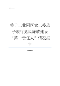 关于工业园区党工委班子履行党风廉政建设第一责任人情况报告