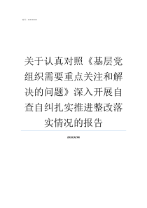 关于认真对照基层党组织需要重点关注和解决的问题深入开展自查自纠扎实推进整改落实情况的报告党的基层组织