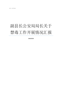 副县长公安局局长关于禁毒工作开展情况汇报县公安局局长