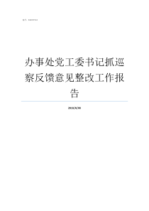 办事处党工委书记抓巡察反馈意见整改工作报告办事处党工委书记级别