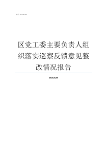 区党工委主要负责人组织落实巡察反馈意见整改情况报告街道党工委组织委员