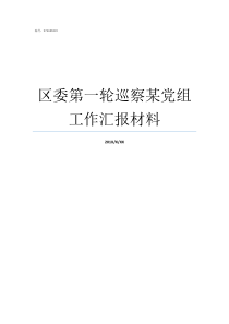 区委第一轮巡察某党组工作汇报材料党组巡察汇报