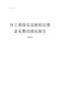 区工委落实巡察组反馈意见整改情况报告