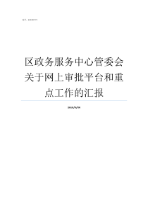 区政务服务中心管委会关于网上审批平台和重点工作的汇报管委会综合服务中心