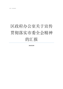 区政府办公室关于宣传贯彻落实市委全会精神的汇报区政府办公室