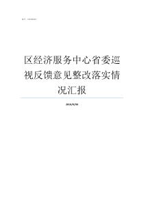 区经济服务中心省委巡视反馈意见整改落实情况汇报省委巡视组巡