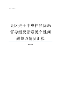 县区关于中央扫黑除恶督导组反馈意见个性问题整改情况汇报县区扫黑除恶宣传