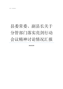 县委常委副县长关于分管部门落实亮剑行动会议精神讨论情况汇报