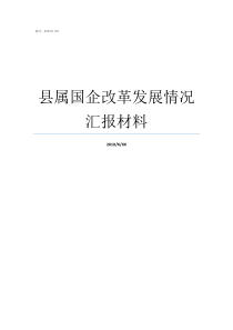 县属国企改革发展情况汇报材料新的国企改革