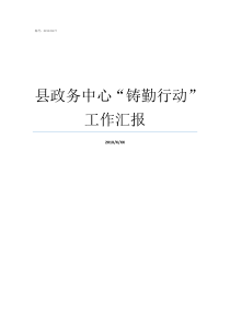 县政务中心铸勤行动工作汇报政务服务工作汇报