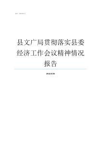 县文广局贯彻落实县委经济工作会议精神情况报告