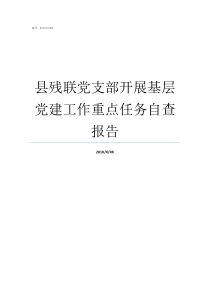 县残联党支部开展基层党建工作重点任务自查报告基层党支部开展七一活动