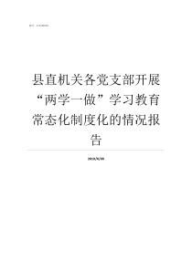 县直机关各党支部开展两学一做学习教育常态化制度化的情况报告