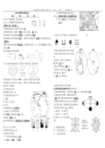 七上地理填充图带答案