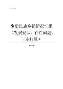 少数民族乡镇情况汇报发展现状存在问题下步打算乡镇组织工作汇报