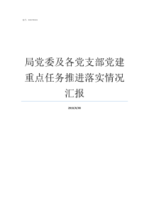 局党委及各党支部党建重点任务推进落实情况汇报