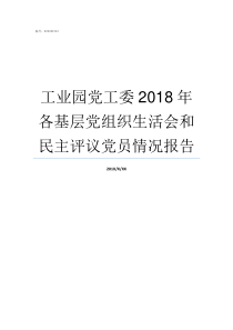 工业园党工委2018年各基层党组织生活会和民主评议党员情况报告2019年弼时工业园规划