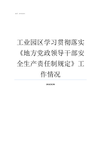 工业园区学习贯彻落实地方党政领导干部安全生产责任制规定工作情况