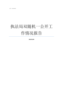 执法局双随机一公开工作情况报告