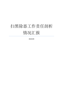 扫黑除恶工作责任剖析情况汇报主题教育指导工作情况汇报