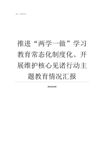 推进两学一做学习教育常态化制度化开展维护核心见诸行动主题教育情况汇报