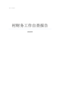 村财务工作自查报告财务专项检查自查报告