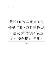 某区2019年重点工作情况汇报项目建设nbsp城市建设nbsp大气污染nbsp农业农村nbsp安全稳