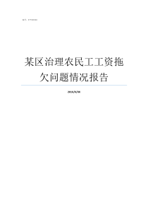 某区治理农民工工资拖欠问题情况报告