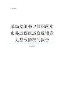 某局党组书记组织落实市委巡察组巡察反馈意见整改情况的报告党组书记履职情况