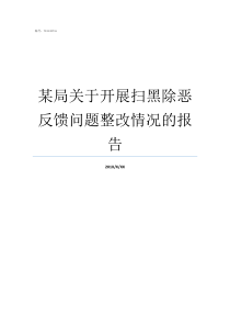 某局关于开展扫黑除恶反馈问题整改情况的报告扫黑除恶