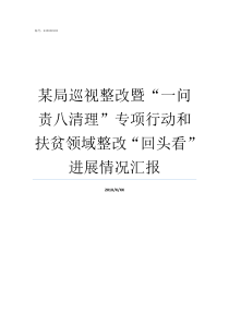 某局巡视整改暨一问责八清理专项行动和扶贫领域整改回头看进展情况汇报省委巡视局整改整改方案