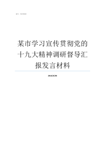 某市学习宣传贯彻党的十九大精神调研督导汇报发言材料