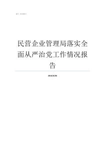 民营企业管理局落实全面从严治党工作情况报告民营企业局