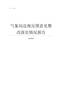 气象局巡视反馈意见整改落实情况报告巡视组反馈意见