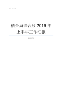 稽查局综合股2019年上半年工作汇报稽查局签字2019