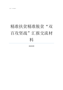 精准扶贫精准脱贫双百攻坚战汇报交流材料精准脱贫