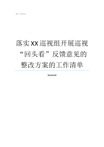 落实XX巡视组开展巡视回头看反馈意见的整改方案的工作清单街道回头看反馈意见