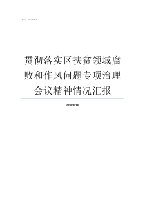 贯彻落实区扶贫领域腐败和作风问题专项治理会议精神情况汇报扶贫领域腐问题