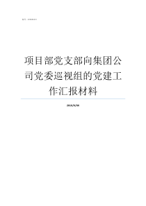 项目部党支部向集团公司党委巡视组的党建工作汇报材料项目部党支部成立