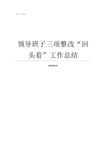 领导班子三项整改回头看工作总结