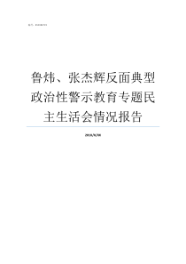 鲁炜张杰辉反面典型政治性警示教育专题民主生活会情况报告田鲁炜