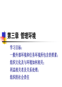 第3章  管理环境与管理道德