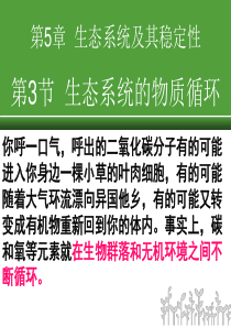 2013年最新高中生物精品教学课件：生态系统的物质循环(7)(人教版必修3)