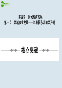 高中地理 第四章《区域经济发展》课件 新人教版必修3